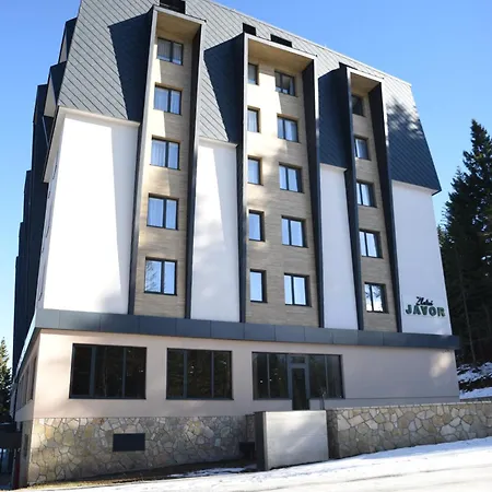 Zlatni Javor Twins *