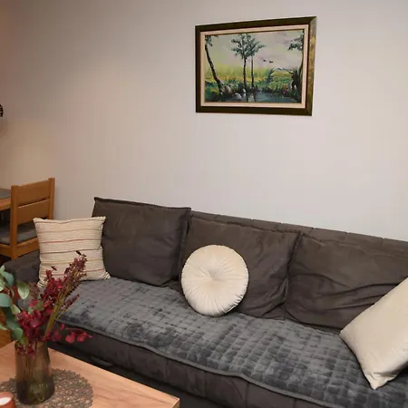 Zlatni Javor Twins Apartman