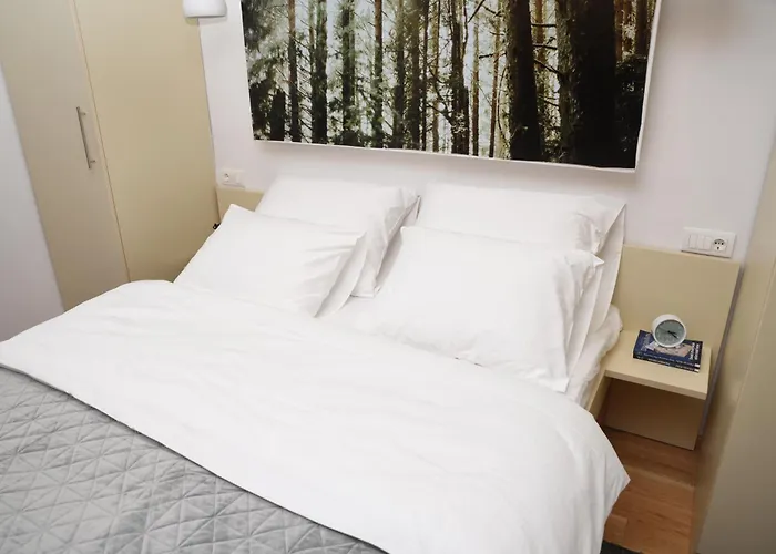 Zlatni Javor Twins 아파트 자호리나